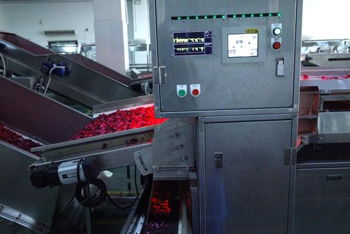 全面革新，智造美味 探秘嘉華食品花工廠技術(shù)升級之道