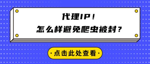 代理IP在避免爬蟲被封中的應(yīng)用與廣告設(shè)計規(guī)范